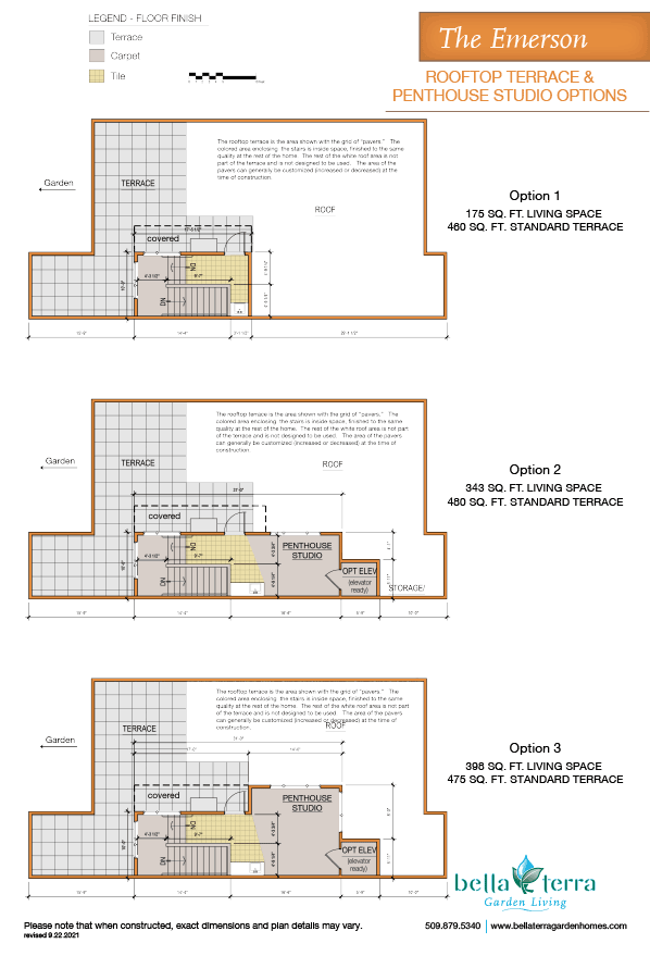 Emerson townhome rooftop options