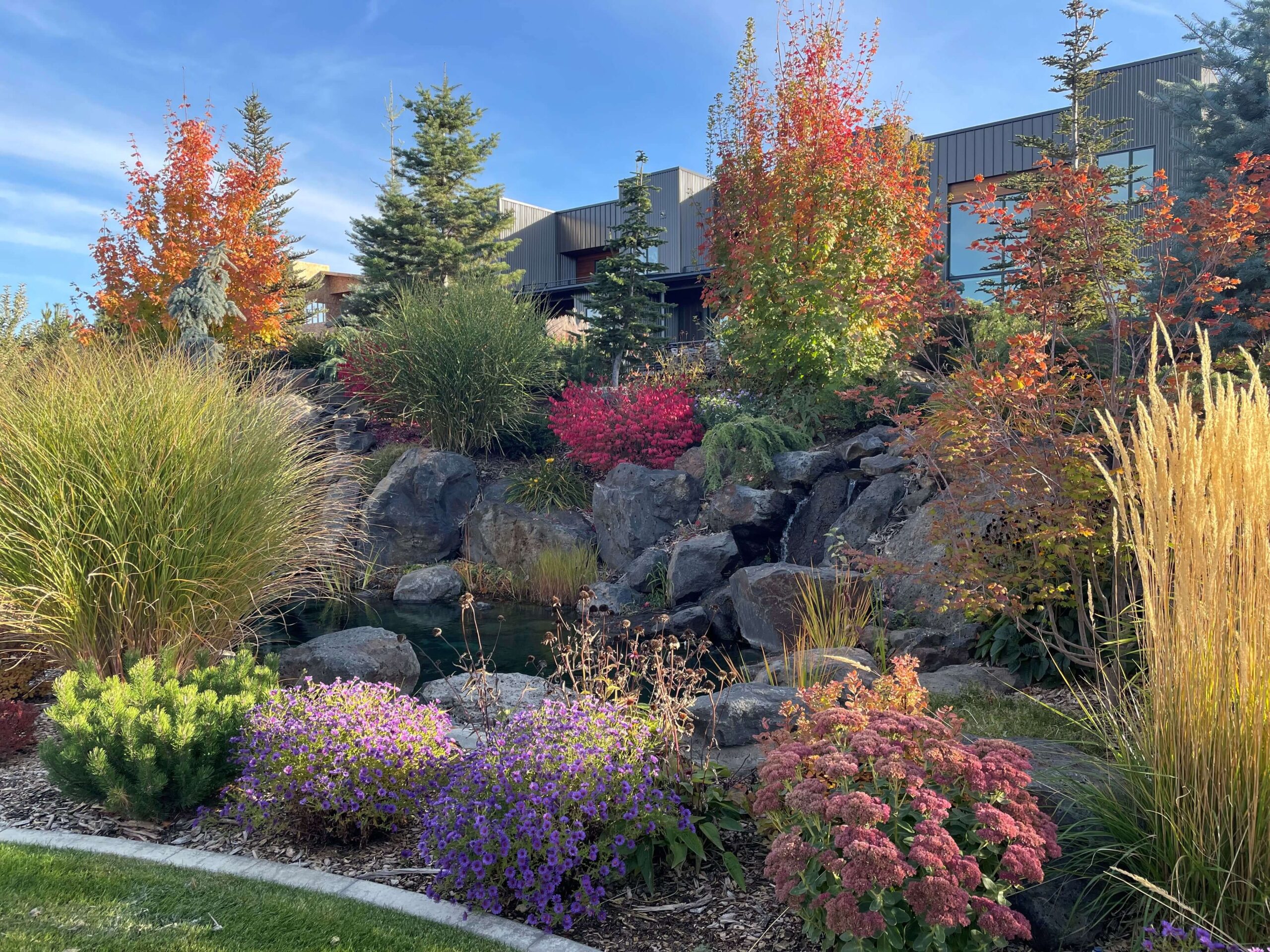 Homeowners enjoy the beauty and paths that wind through Bella Terra's central garden.