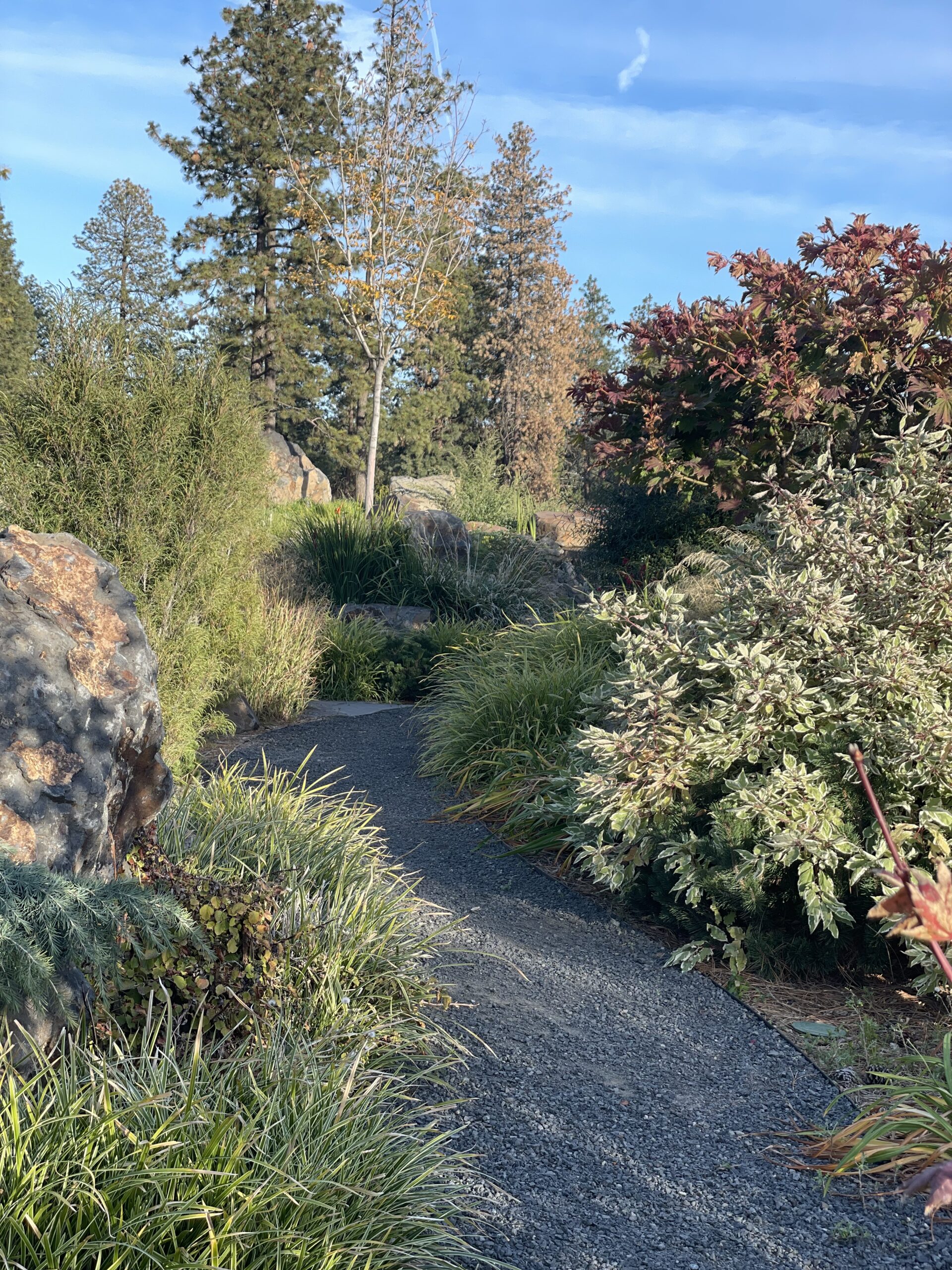 Homeowners enjoy the beauty and paths that wind through Bella Terra.