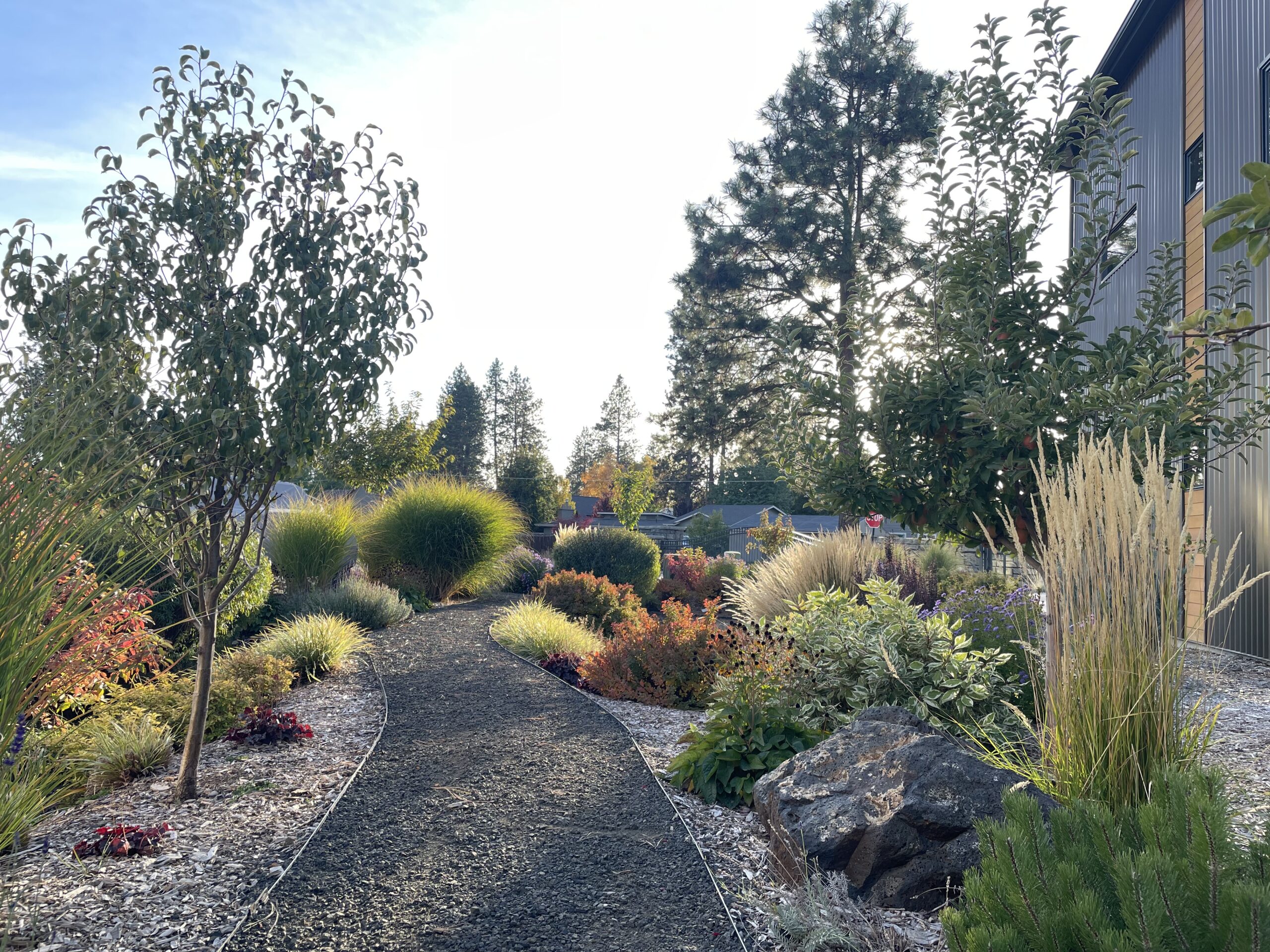 Homeowners enjoy the beauty and paths that wind through Bella Terra.
