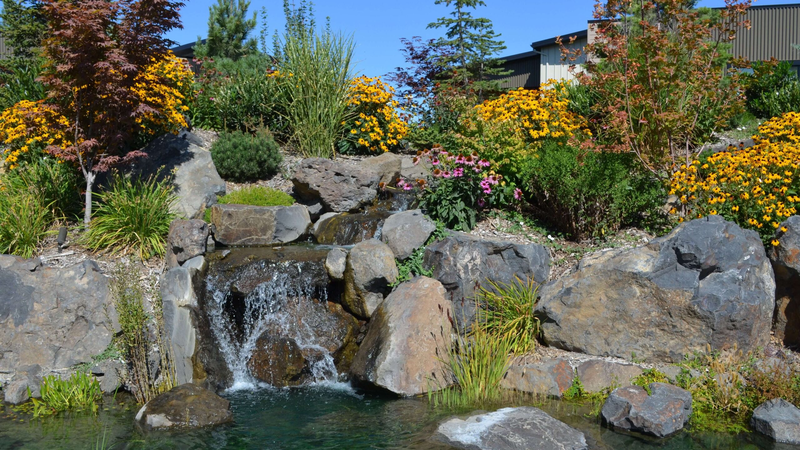 Homeowners enjoy the beauty, ponds and paths that wind through Bella Terra's central garden.