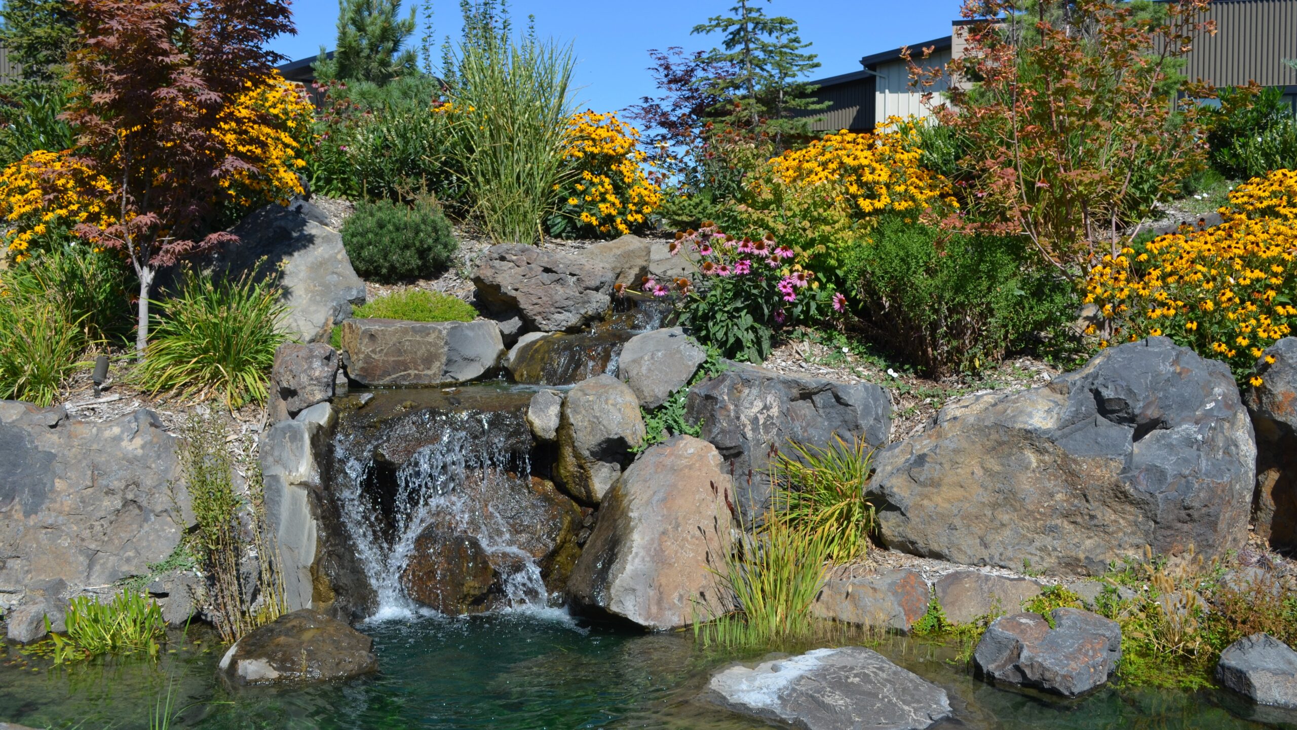Homeowners enjoy the beauty and paths that wind through Bella Terra's central garden.