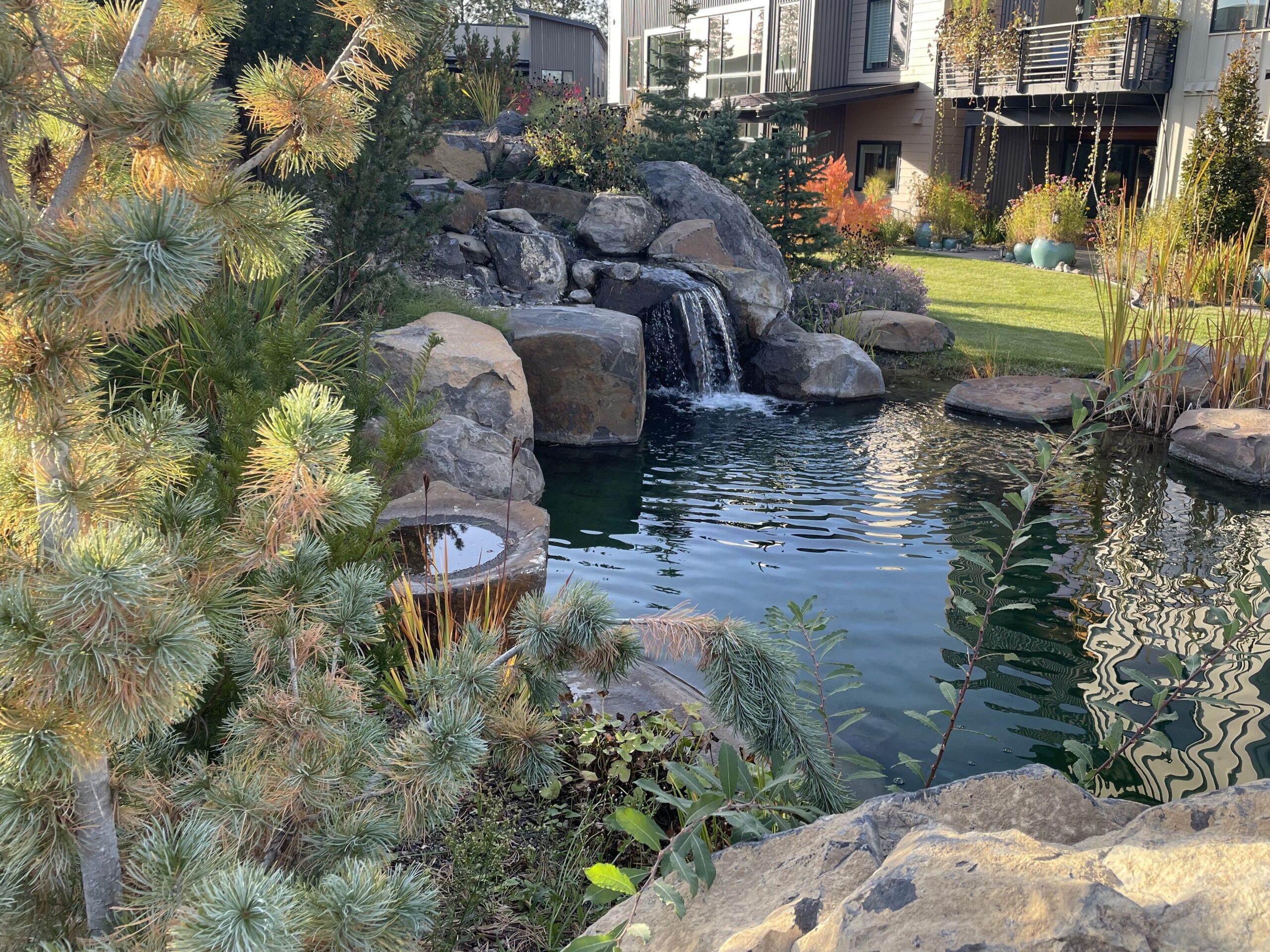 Homeowners enjoy the beauty and paths that wind through Bella Terra's central garden.