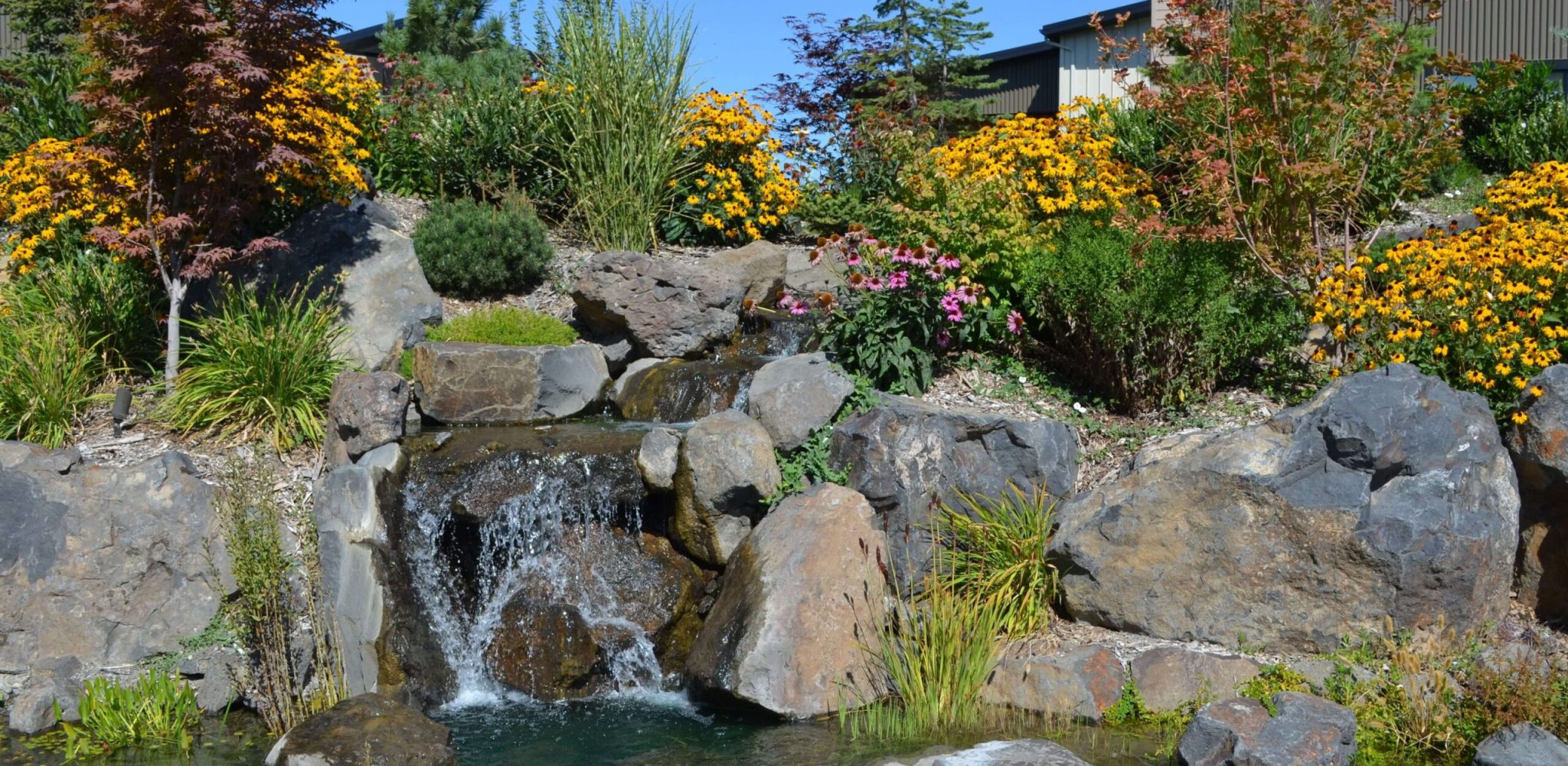 Homeowners enjoy the beauty, ponds and paths that wind through Bella Terra's central garden.